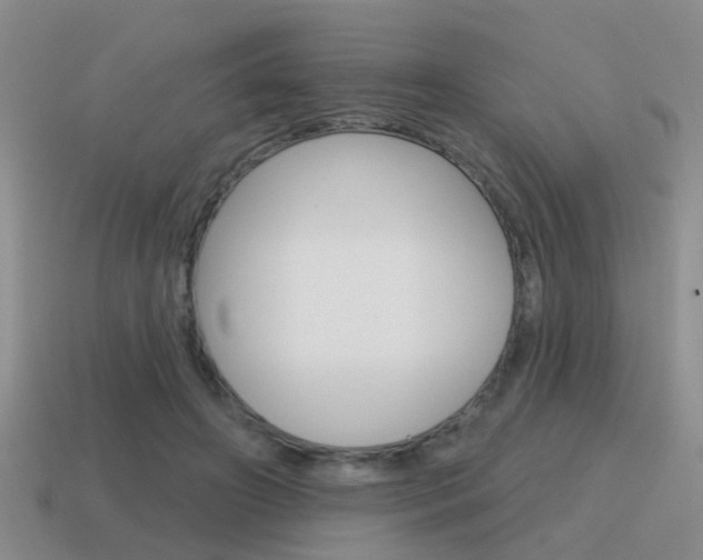 X0000115590498200911100934