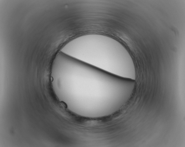X0000115590499200911100934