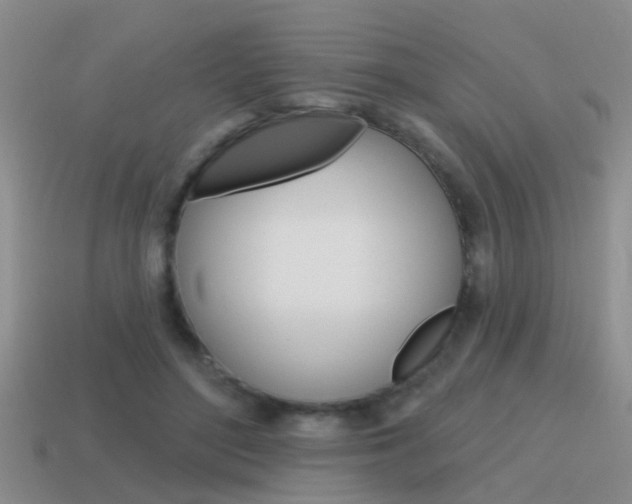 X0000115590500200911100934
