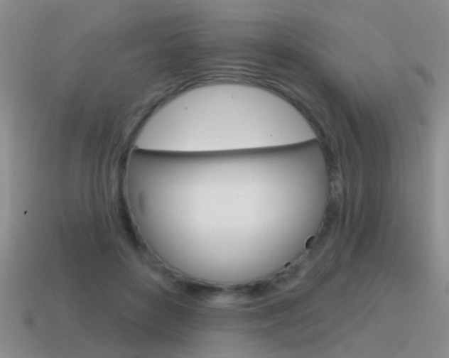 X0000115590504200911100934