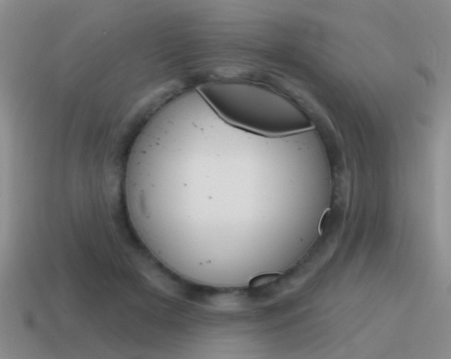 X0000115590505200911100934