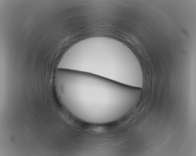 X0000115590507200911100934