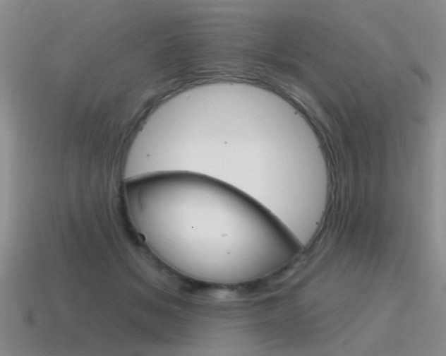 X0000115590509200911100934