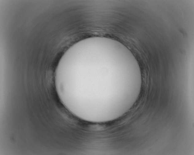 X0000115590511200911100934