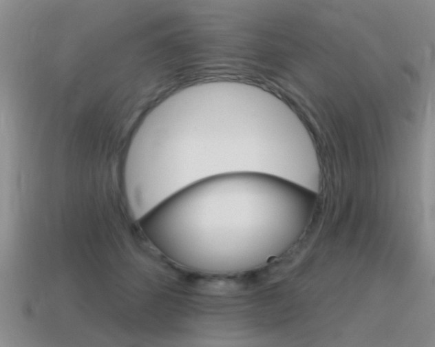 X0000115590512200911100934