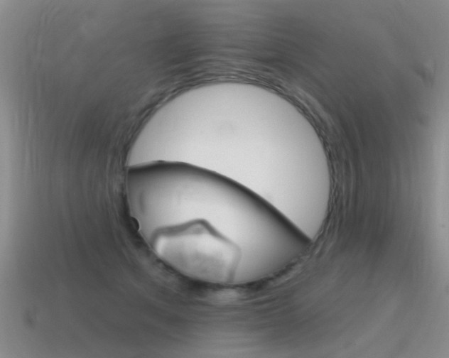 X0000115590513200911100934