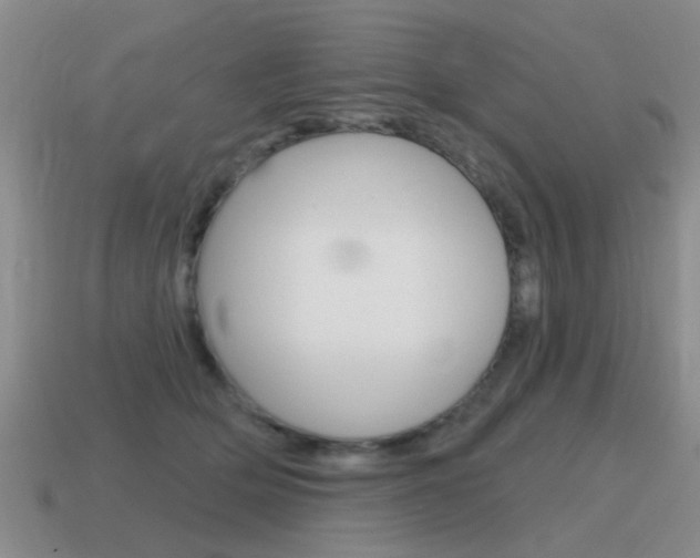 X0000115590514200911100934