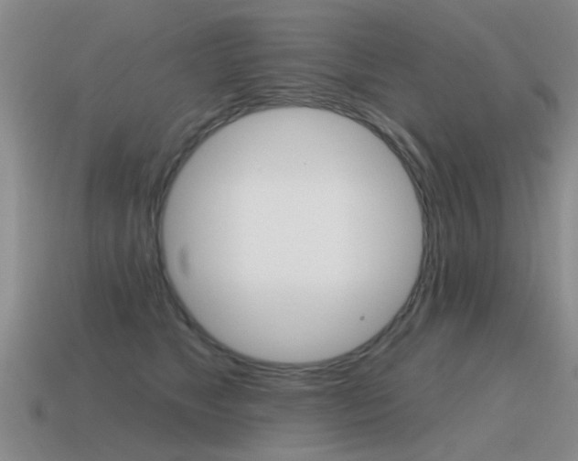 X0000115590517200911100934