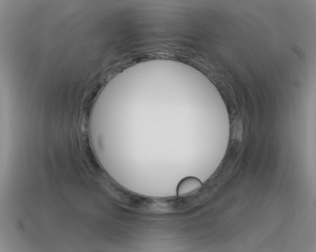 X0000115590518200911100934