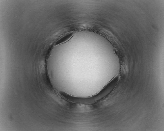 X0000115590520200911100933
