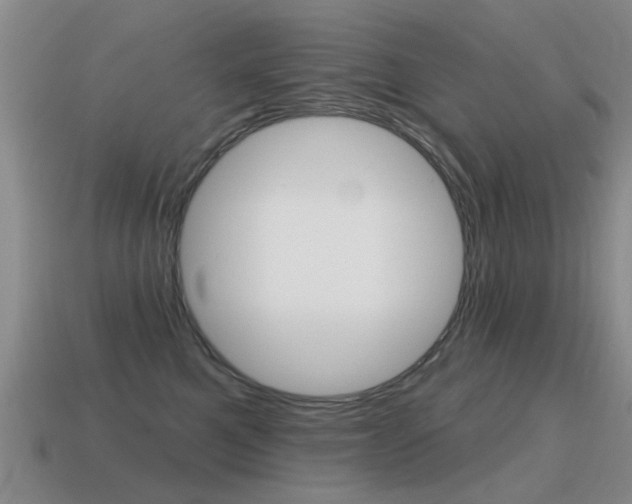 X0000115590521200911100933