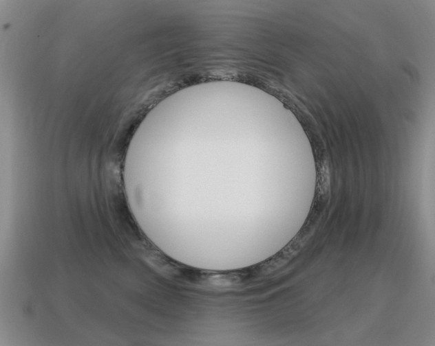 X0000115590522200911100933