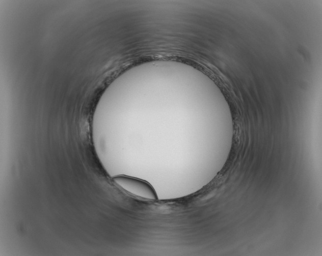 X0000115590523200911100933