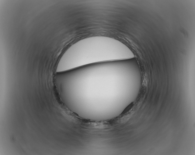 X0000115590524200911100933