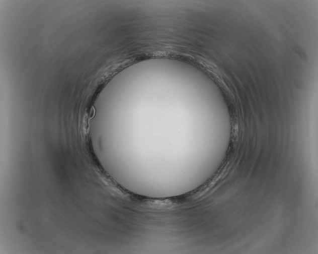 X0000115590525200911100933