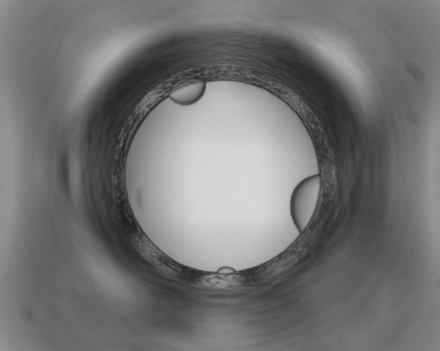 X0000115590526200911100933