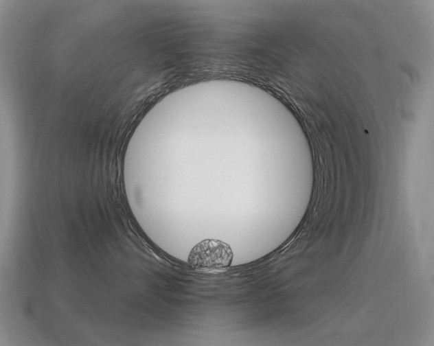 X0000115590528200911100933