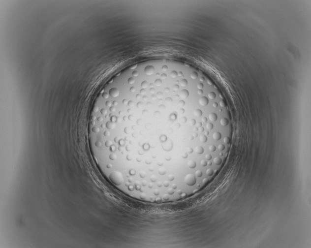 X0000115590529200911100933