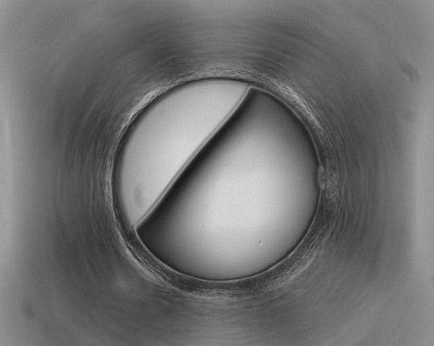 X0000115590530200911100933