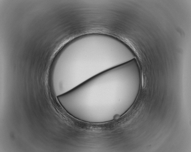 X0000115590531200911100933