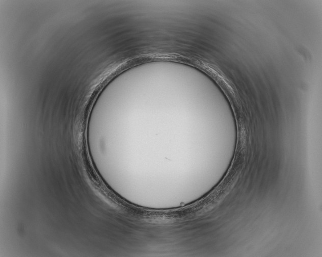 X0000115590533200911100933