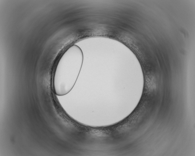 X0000115590534200911100933