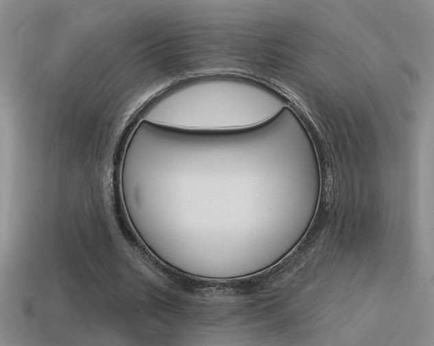 X0000115590535200911100933