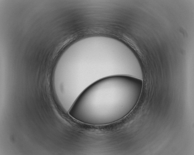 X0000115590538200911100933