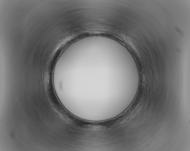 X0000115590539200911100933