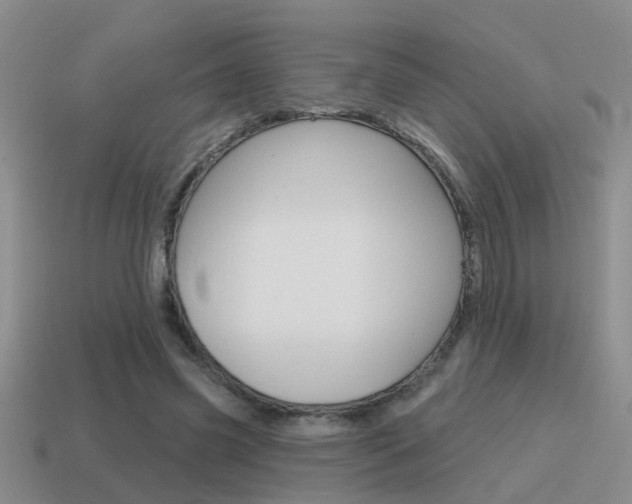 X0000115590541200911100933