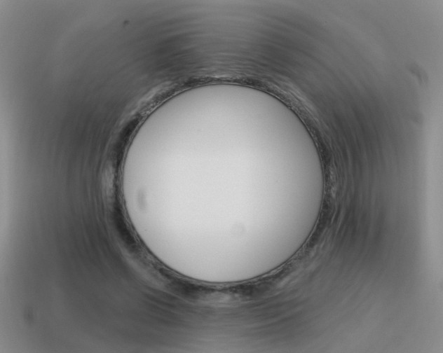 X0000115590542200911100933