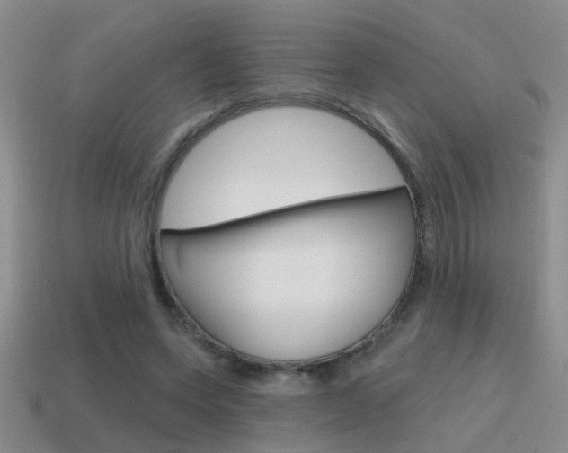 X0000115590543200911100933