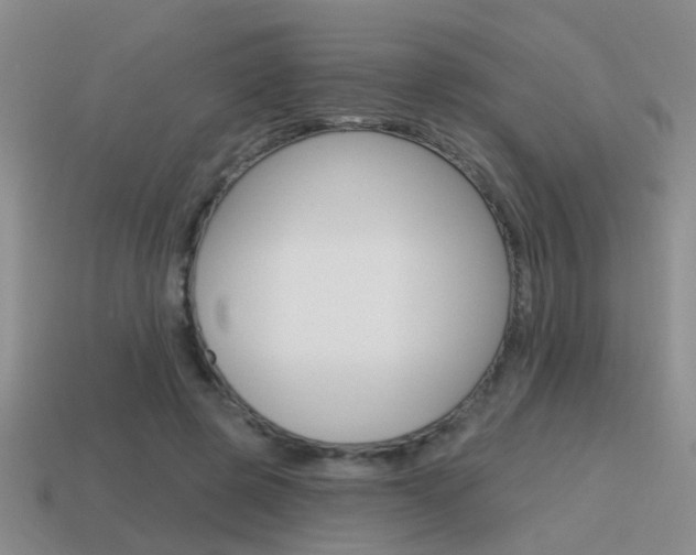 X0000115590545200911100933