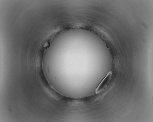 X0000115590546200911100933