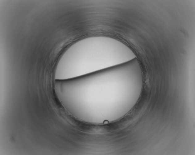 X0000115590547200911100933