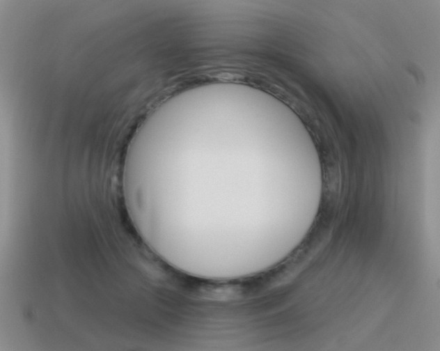 X0000115590553200911100933