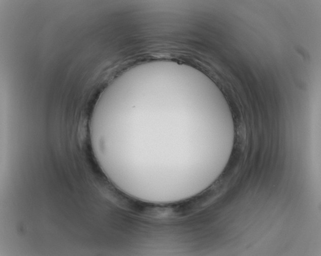 X0000115590554200911100933