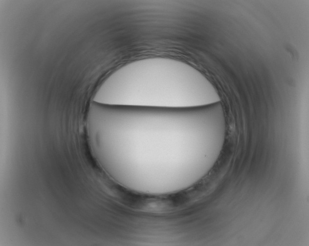 X0000115590555200911100933