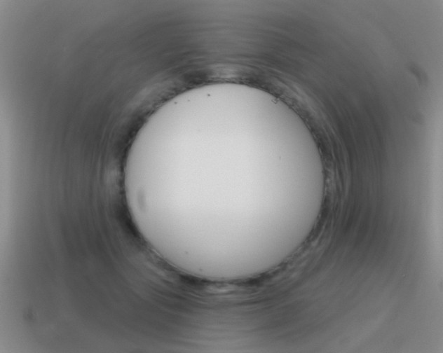 X0000115590557200911100933
