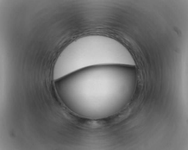 X0000115590558200911100933