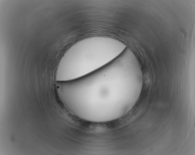 X0000115590559200911100933