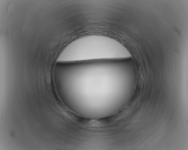 X0000115590562200911100933