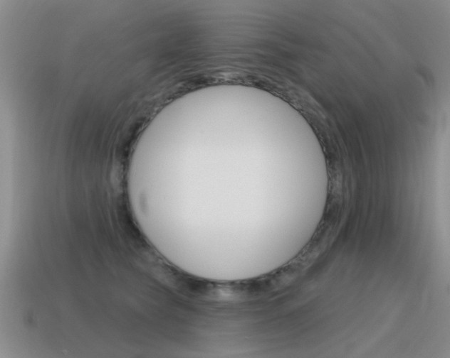 X0000115590565200911100933