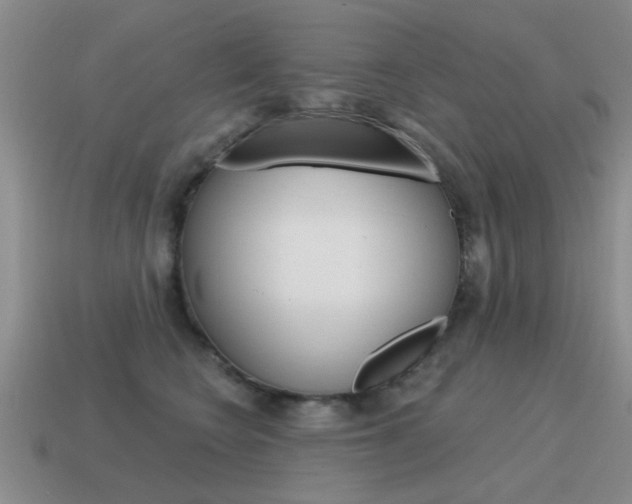 X0000115590566200911100933