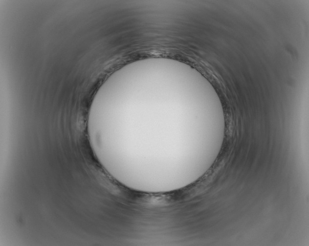 X0000115590569200911100933