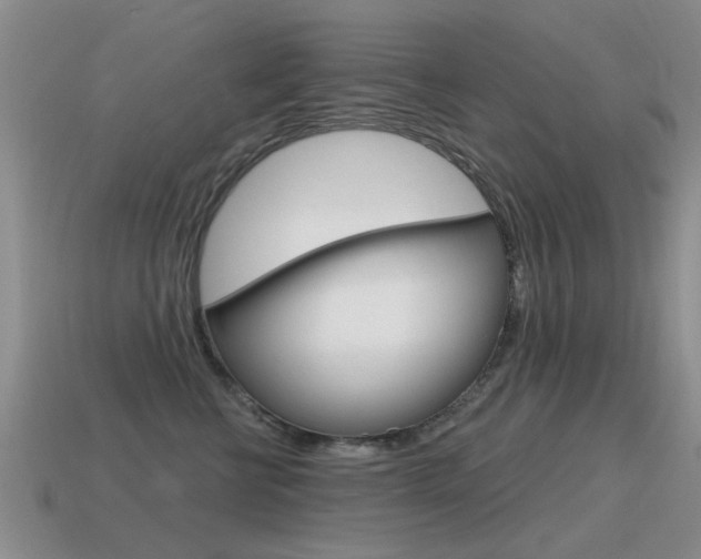 X0000115590570200911100933