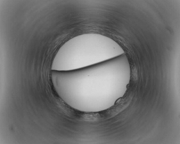 X0000115590571200911100933