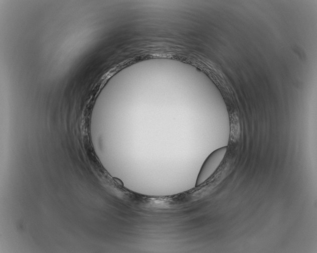 X0000115590573200911100933