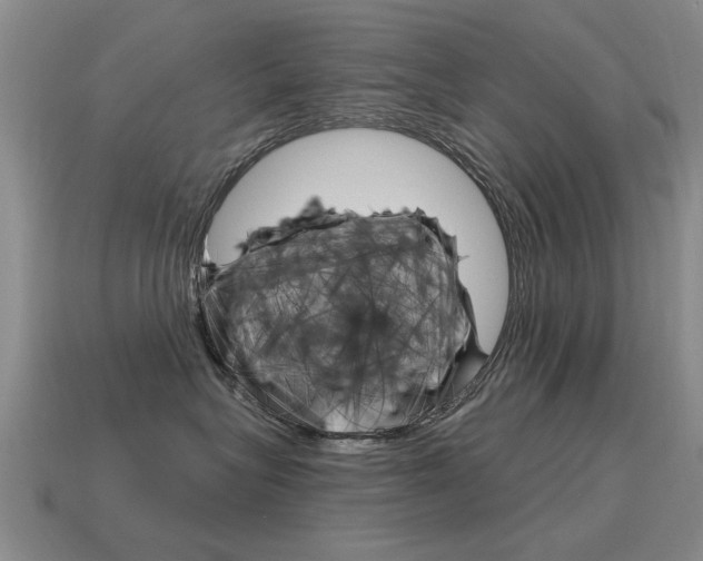 X0000115590575200911100933