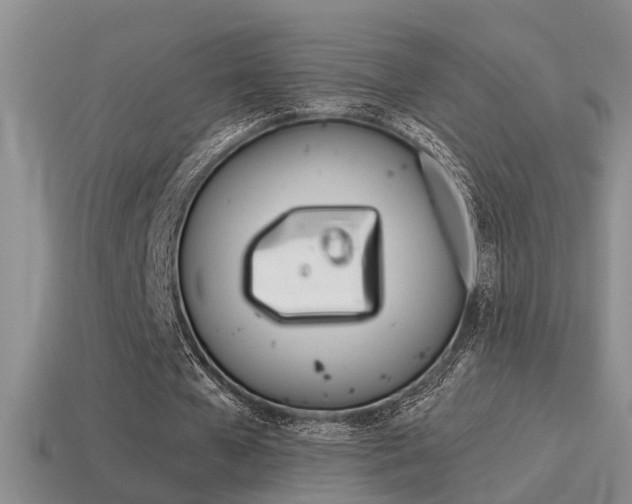 X0000115590577200911100933